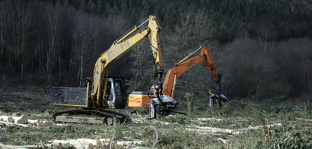 Maquinaria forestal trabajando en un monte gallego