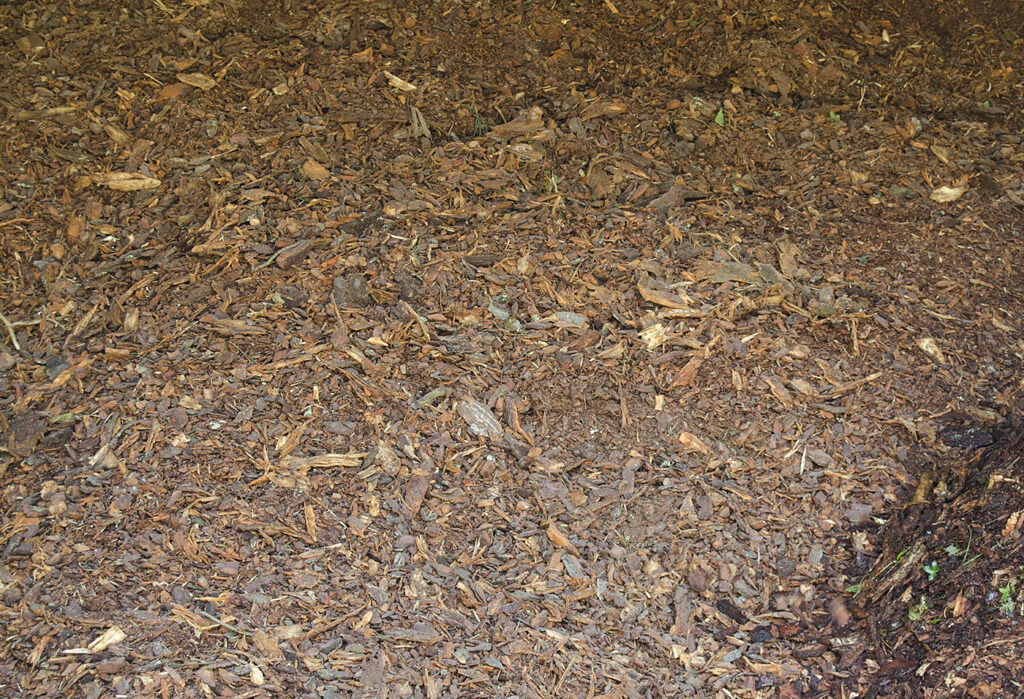 Leñas, EUC y roble—Subproductos