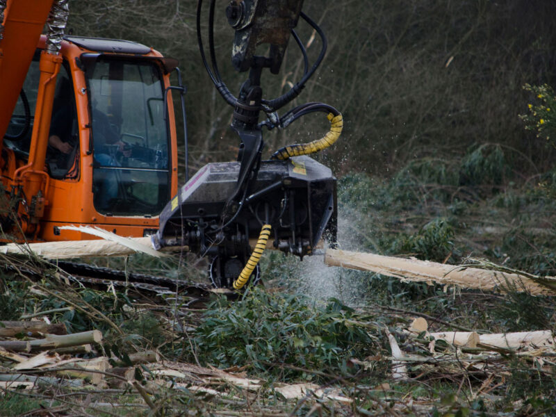 La crisis no afecta al sector de la madera