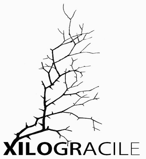 xilograciel